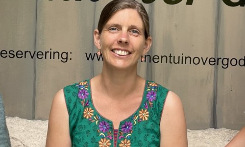 2511 Strijkstok Nelleke klein.jpg