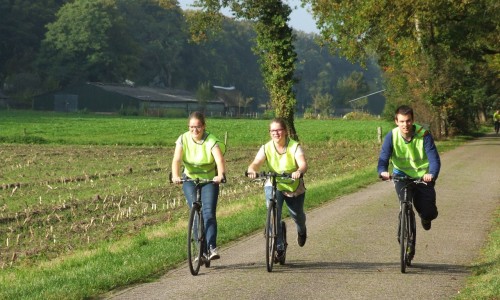 Drie steppers.JPG