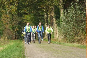 Steppers vanuit bos.JPG