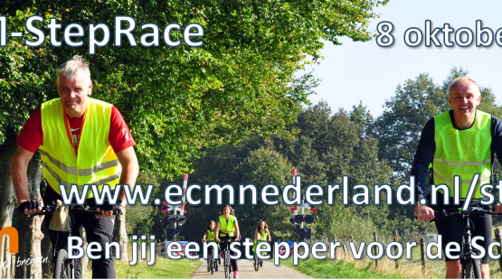 banner steprace 2022 email.png